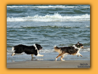 JayJay und Jayla (6).jpg